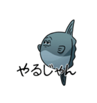 モラモラ（個別スタンプ：16）