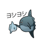 モラモラ（個別スタンプ：20）