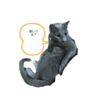 ドジはる（個別スタンプ：1）