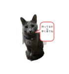 ドジはる（個別スタンプ：2）