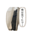 ドジはる（個別スタンプ：10）