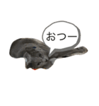 ドジはる（個別スタンプ：11）
