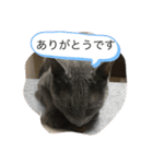 ドジはる（個別スタンプ：13）