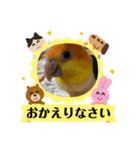 サランファミリー4（個別スタンプ：4）