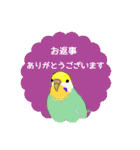 おちゃべりインコ（個別スタンプ：5）