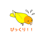 おちゃべりインコ（個別スタンプ：19）