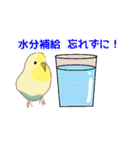 おちゃべりインコ（個別スタンプ：21）