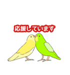 おちゃべりインコ（個別スタンプ：26）