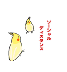 おちゃべりインコ（個別スタンプ：40）