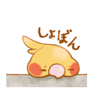 ♪ほわもちオカメ♪（個別スタンプ：31）