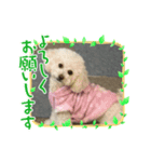 私はランコ（個別スタンプ：5）