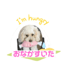 私はランコ（個別スタンプ：8）