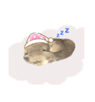 チンチラのむぅちゃん①（個別スタンプ：40）