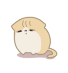 ねこのティラちゃん（個別スタンプ：11）