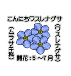 花ですが何科？①（個別スタンプ：2）