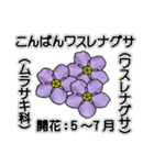 花ですが何科？①（個別スタンプ：3）