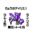 花ですが何科？①（個別スタンプ：5）