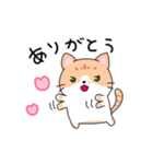 ゆるかわ 癒しのねこ（個別スタンプ：1）