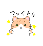 ゆるかわ 癒しのねこ（個別スタンプ：3）