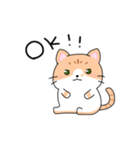 ゆるかわ 癒しのねこ（個別スタンプ：6）