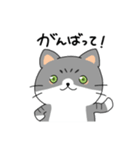 ゆるかわ 癒しのねこ（個別スタンプ：10）