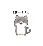 ゆるかわ 癒しのねこ（個別スタンプ：13）