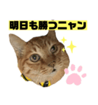 茶虎のニャン神タイガース22（個別スタンプ：3）