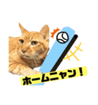 茶虎のニャン神タイガース22（個別スタンプ：10）