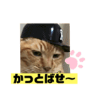 茶虎のニャン神タイガース22（個別スタンプ：18）