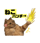 茶虎のニャン神タイガース22（個別スタンプ：19）