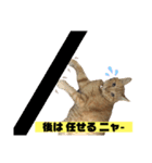 茶虎のニャン神タイガース22（個別スタンプ：29）