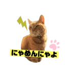 茶虎のニャン神タイガース22（個別スタンプ：32）