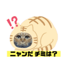 茶虎のニャン神タイガース22（個別スタンプ：37）