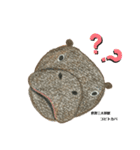 nanda zoo cookies 世界5大珍獣（個別スタンプ：4）