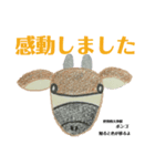 nanda zoo cookies 世界5大珍獣（個別スタンプ：7）