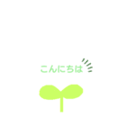 植物スタンプ！（個別スタンプ：7）