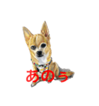 愉快な動物画（個別スタンプ：1）