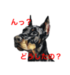 愉快な動物画（個別スタンプ：3）