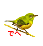 愉快な動物画（個別スタンプ：7）