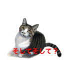愉快な動物画（個別スタンプ：13）