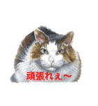 愉快な動物画（個別スタンプ：15）