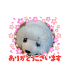 夏休み‼️（個別スタンプ：7）