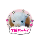 夏休み‼️（個別スタンプ：9）