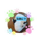 夏休み‼️（個別スタンプ：11）