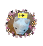 夏休み‼️（個別スタンプ：12）
