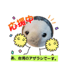 夏休み‼️（個別スタンプ：13）