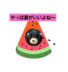 夏休み‼️（個別スタンプ：15）