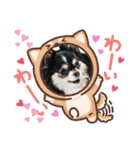 犬とねこの写真スタンプ（個別スタンプ：29）