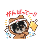 犬とねこの写真スタンプ（個別スタンプ：31）