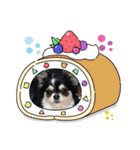 犬とねこの写真スタンプ（個別スタンプ：34）